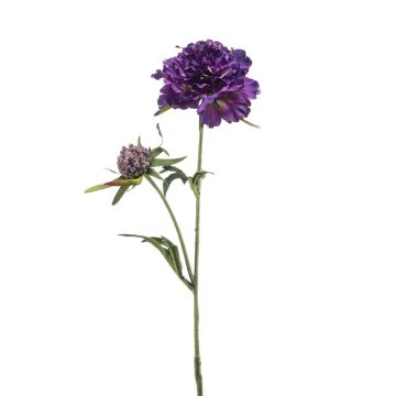 Umělá větvička scabiosa BASOLO, tmavě fialová, 55 cm