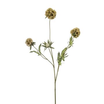 Dekorativní větev hvězda Scabiosa RANIK, zelená, 70 cm