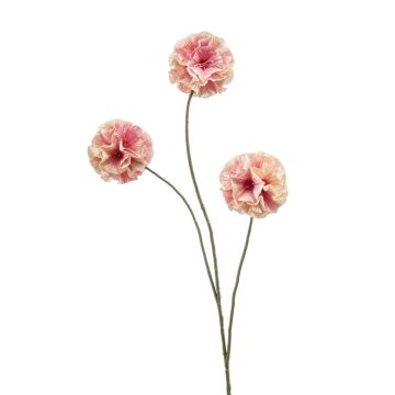 Umělá hvězda Scabiosa DESIRIO, broskvově růžová, 75 cm