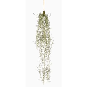 Umělý sukulent Tillandsia usneoides závěsný RUWEN, zelený, 90cm