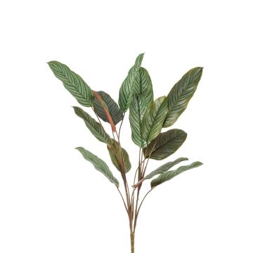 Umělá rostlina Calathea orbifolia FREMIX na tyči, zelená, 115cm Umělá rostlina Calathea orbifolia FREMIX na tyči, zelená, 115cm