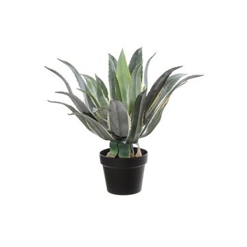 Umělý sukulent Agave americana KYANO, dekorativní květináč, zeleno-krémový, 55cm Umělý sukulent Agave americana KYANO, dekorativní květináč, zeleno-krémový, 55cm