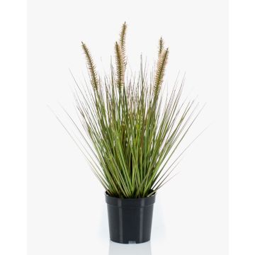 Umělá tráva dochan psárkovitý YWAIN laty, béžově zelená, 45cm Umělá tráva dochan psárkovitý YWAIN laty, béžově zelená, 45cm