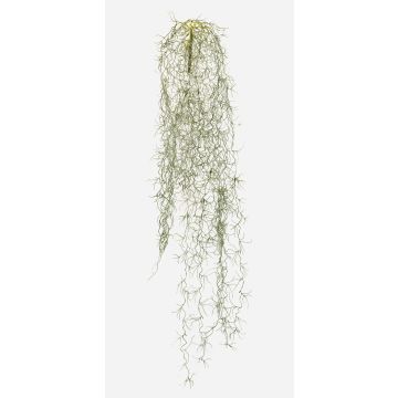 Umělý sukulent Tillandsia usneoides GRALER na tyči, nehořlavý, šedý, 90cm