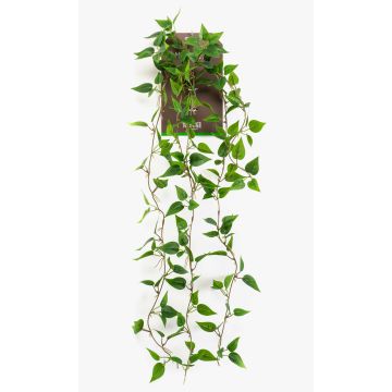 Umělá závěsná rostlina Philodendron scandens SAELFES na tyči, 85cm