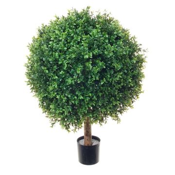 Umělá rostlina zimostráz TOM, přírodní kmen, 80cm, Ø60cm Umělá rostlina zimostráz TOM, přírodní kmen, 80cm, Ø60cm