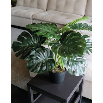 Umělý filodendron monstera deliciosa MUNIN, 55cm