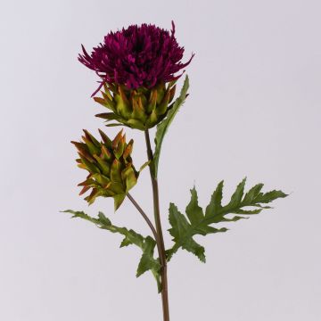 Umělá květina bodlák TALISHA, fuchsiová, 55cm, Ø8cm Umělá květina bodlák TALISHA, fuchsiová, 55cm, Ø8cm
