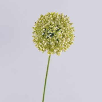 Umělé Allium HELLA, třpytky, krémově zelené, 80cm