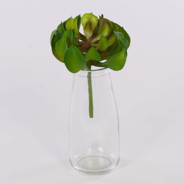 Art Aeonium GERTRUDE na tyčce, zeleno-červená, 13cm Art Aeonium GERTRUDE na tyčce, zeleno-červená, 13cm