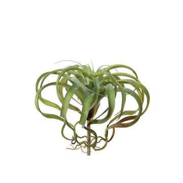 Umělá Tillandsia Xerographica AZARD, zátka, zeleno-červená, 30cm, Ø35cm