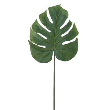 Dekorativní filodendron Monstera Deliciosa DUSICA, 85cm