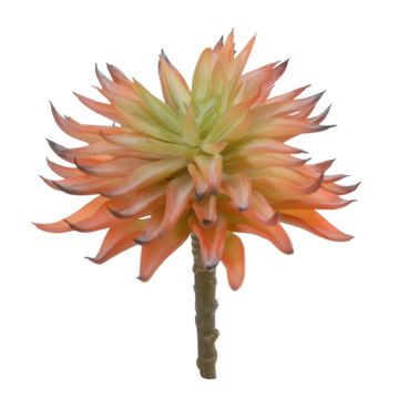 Umělý sukulent Echeveria elegans LUGA, tyč, oranžovo-zelená, 16cm
