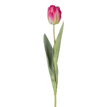 Dekorativní tulipán GUSNAV, tmavě růžový, 50cm