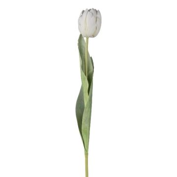 Dekorativní tulipán GUSNAV, bílý, 50cm, Ø5cm Dekorativní tulipán GUSNAV, bílý, 50cm, Ø5cm