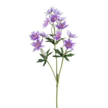 Umělá květinová větev Scabiosa FROSA, fialová, 65cm Umělá květinová větev Scabiosa FROSA, fialová, 65cm