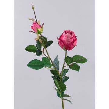 Umělá růže CARUSA, fuchsiová, 80cm, Ø8cm Umělá růže CARUSA, fuchsiová, 80cm, Ø8cm