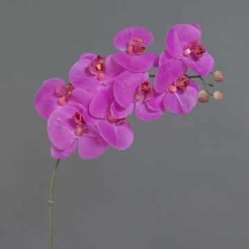 Umělá větvička orchideje phalaenopsis AURELIA, růžová, 95cm Umělá větvička orchideje phalaenopsis AURELIA, růžová, 95cm