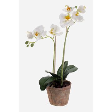 Umělá orchidej phalaenopsis MINA v terakotovém květináči, bílá, 45cm