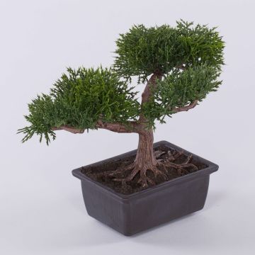 Umělá bonsaj cedr ALVARI s kořeny, v ozdobné misce, 20cm Umělá bonsaj cedr ALVARI s kořeny, v ozdobné misce, 20cm