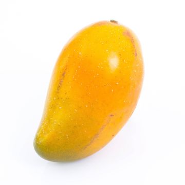 Umělé mango FLORISA, oranžovo-žluté, 13cm, Ø8cm