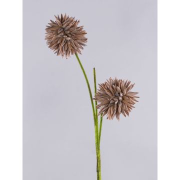 Umělé allium CHIRARA, hnědé, 90cm, Ø10cm