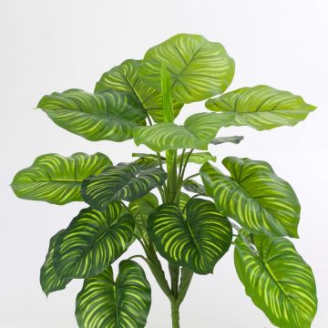 Umělá calathea orbifolia ULANI na zápichu, zelená, 45cm Umělá calathea orbifolia ULANI na zápichu, zelená, 45cm
