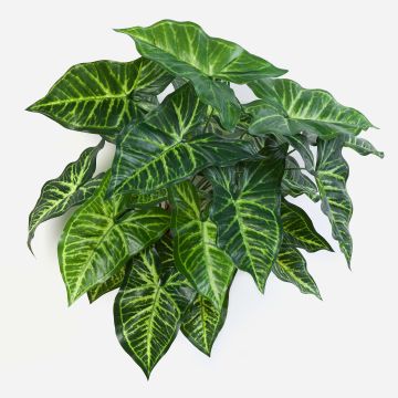 Umělé syngonium SERENO na zápichu, zelená, 45cm