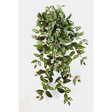 Uměl&aacute; tradescantia zebrina PANCHO, na z&aacute;pichu, zeleno-fialov&aacute;, 70cm