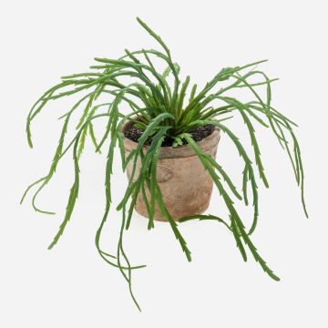 Umělý rhipsalis HADRIAN v terakotovém květináči, zelená, 35cm