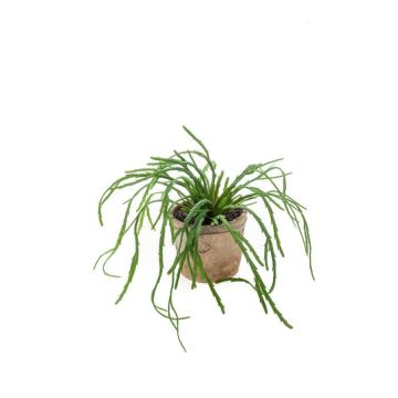 Umělý rhipsalis HADRIAN v terakotovém květináči, zelená, 35cm Umělý rhipsalis HADRIAN v terakotovém květináči, zelená, 35cm