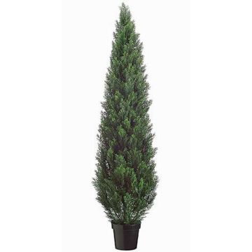 Umělý cedr EDELA, pro interiér i exteriér, zelená, 180cm Umělý cedr EDELA, pro interiér i exteriér, zelená, 180cm