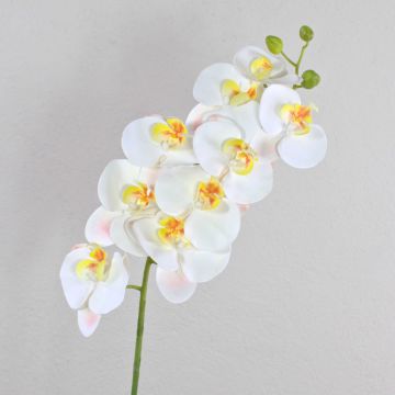 Umělá větvička orchideje phalaenopsis OPHELIA, bílá, 100cm
