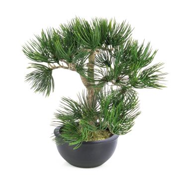 Umělý strom bonsai pínie CATALINA, v květinové míse, 35cm Umělý strom bonsai pínie CATALINA, v květinové míse, 35cm