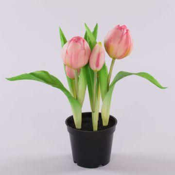 Umělý tulipán CAITLYN v ozdobném květináči, růžovo-zelený, 25cm, Ø2-6cm Umělý tulipán CAITLYN v ozdobném květináči, růžovo-zelený, 25cm, Ø2-6cm