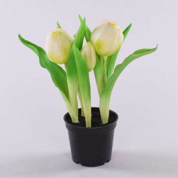 Umělý tulipán CAITLYN v ozdobném květináči, bílozelený, 25cm, Ø2-6cm Umělý tulipán CAITLYN v ozdobném květináči, bílozelený, 25cm, Ø2-6cm