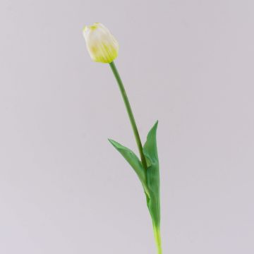 Plastový tulipán LONA, bílo-zelený, 45cm, Ø4cm Plastový tulipán LONA, bílo-zelený, 45cm, Ø4cm