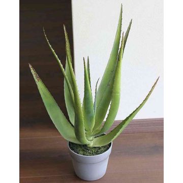 Umělá aloe vera NAMIKA v dekoračním květináči, zelená, 50cm, Ø25cm