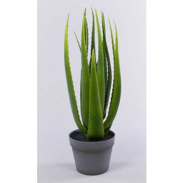 Umělé aloe vera NAMIKA v dekoračním květináči, zelená, 60cm, Ø30cm Umělé aloe vera NAMIKA v dekoračním květináči, zelená, 60cm, Ø30cm