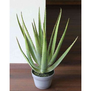Umělé aloe vera NAMIKA v dekoračním květináči, zelená, 60cm, Ø30cm