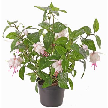 Umělá fuchsie THAYNARA, s květy, jemná růžová, 30cm, Ø5cm Umělá fuchsie THAYNARA, s květy, jemná růžová, 30cm, Ø5cm
