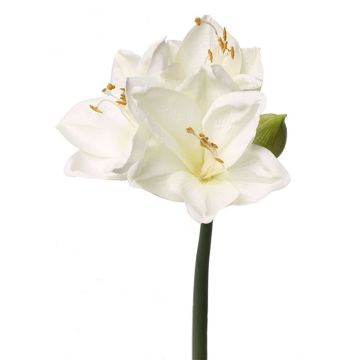 Umělá květina amaryllis BENITA, bílá, 55cm, Ø10cm Umělá květina amaryllis BENITA, bílá, 55cm, Ø10cm