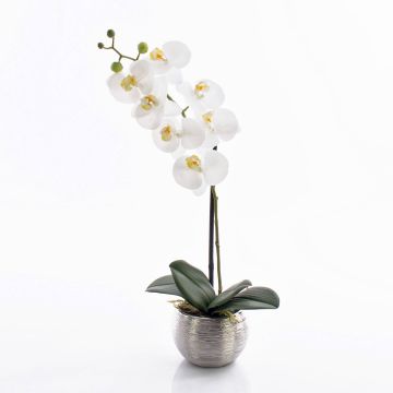 Umělá orchidej phalaenopsis EMILIA, v dekoračním květináči, bílá, 50cm Umělá orchidej phalaenopsis EMILIA, v dekoračním květináči, bílá, 50cm