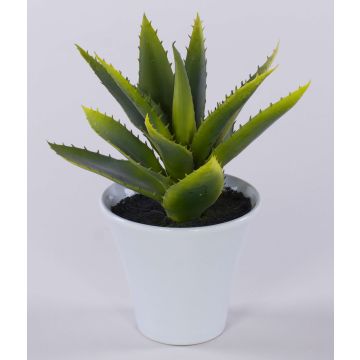 Umělá aloe vera ROSALINA v keramickém květináči, zelená, 21cm Umělá aloe vera ROSALINA v keramickém květináči, zelená, 21cm