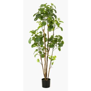 Umělá stínovka FILARO, umělé kmeny, 160cm Umělá stínovka FILARO, umělé kmeny, 160cm