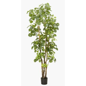 Umělá stínovka FILARO, umělé kmeny, 195cm Umělá stínovka FILARO, umělé kmeny, 195cm