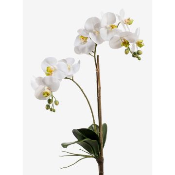 Umělá orchidej phalaenopsis CANDIDA na zápichu, bílá, 65cm