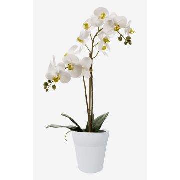 Umělá orchidej phalaenopsis CANDIDA v keramickém květináči, bílá, 65cm