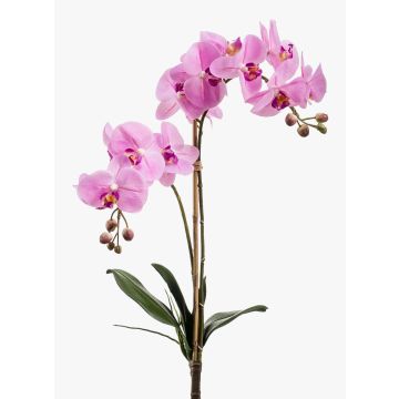 Umělá orchidej phalaenopsis CANDIDA na zápichu, růžová, 65cm