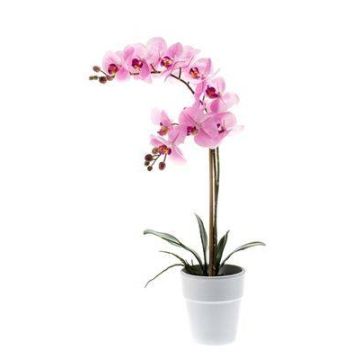 Umělá orchidej phalaenopsis CANDIDA v keramickém květináči, růžová, 65cm